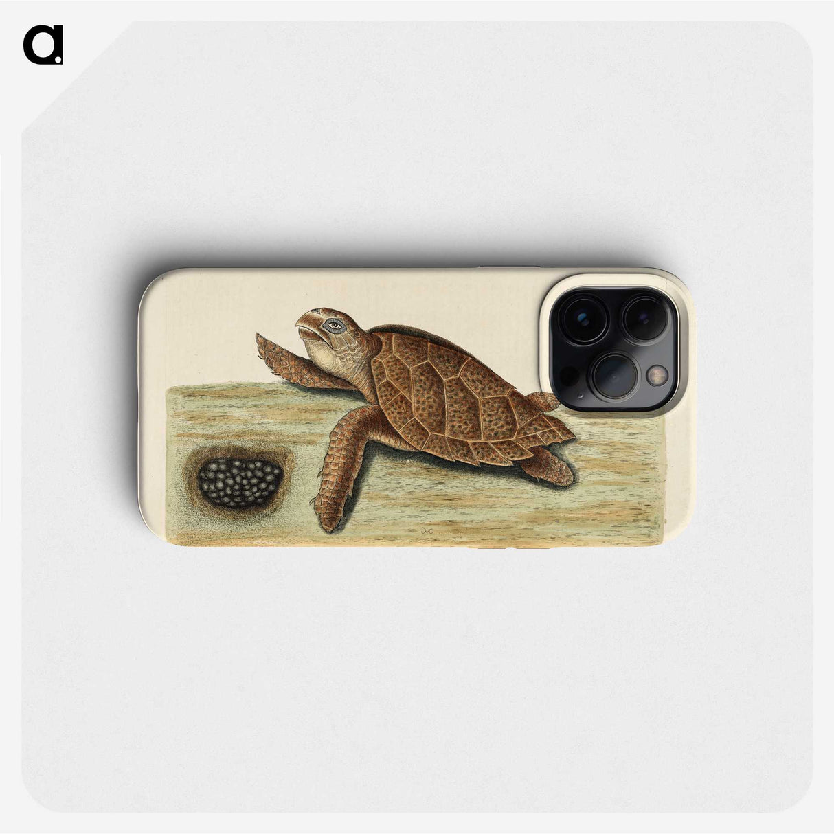 1-14_Mark-Catesby_phone