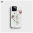 1-14_Mary-Vaux-Walcott_phone