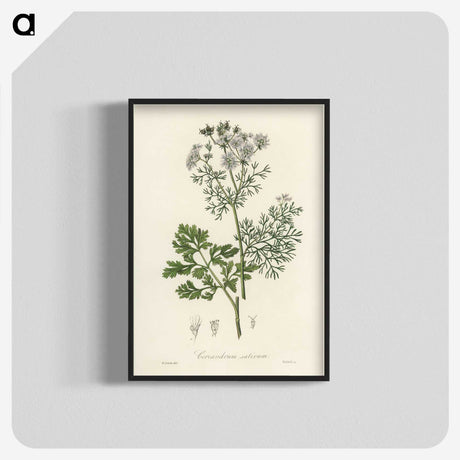 1-14_Medical-Botany_blk-crop