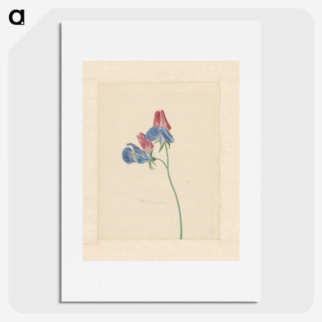 1-14_Michiel-van-Huysum_picture