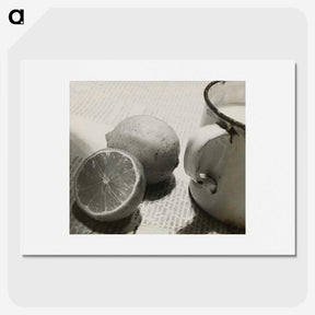 1-14_Milos-Dohnany_picture