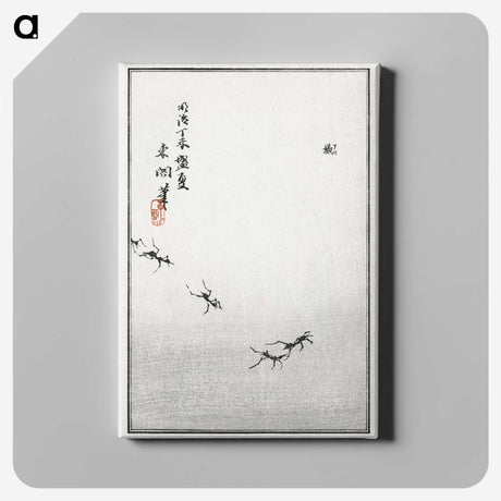 1-14_Morimoto-Tokaku_canvas