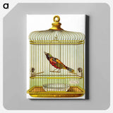 アートパネル-Wampole's Preparation Advertisement: Bird in a Cage
 - 国立医学図書館 Canvas.