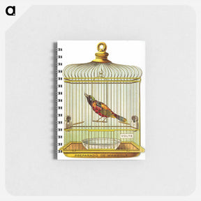 アートメモ帳-Wampole's Preparation Advertisement: Bird in a Cage
 - 国立医学図書館 Memo.