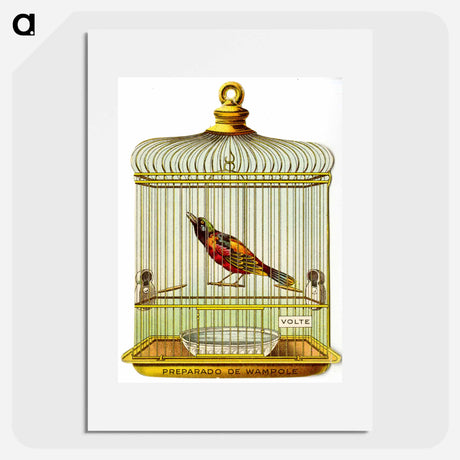 アートポスター-Wampole's Preparation Advertisement: Bird in a Cage
 - 国立医学図書館 Poster.