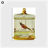 アートポストカード-Wampole's Preparation Advertisement: Bird in a Cage
 - 国立医学図書館 Postcard.