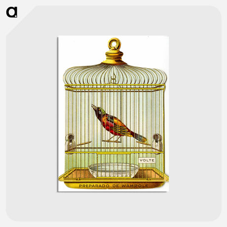 アートポストカード-Wampole's Preparation Advertisement: Bird in a Cage
 - 国立医学図書館 Postcard.