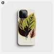 1-14_New-and-Rare-Beautiful-Leaved-Plants_phone