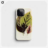 1-14_New-and-Rare-Beautiful-Leaved-Plants_phone