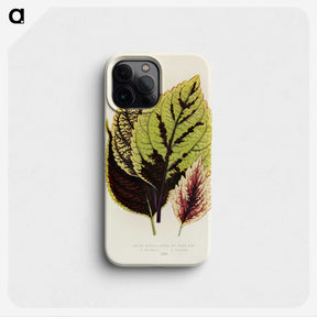 1-14_New-and-Rare-Beautiful-Leaved-Plants_phone