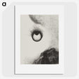 1-14_Odilon-Redon_picture