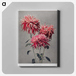 1-14_Ogawa-Kazumasa_canvas
