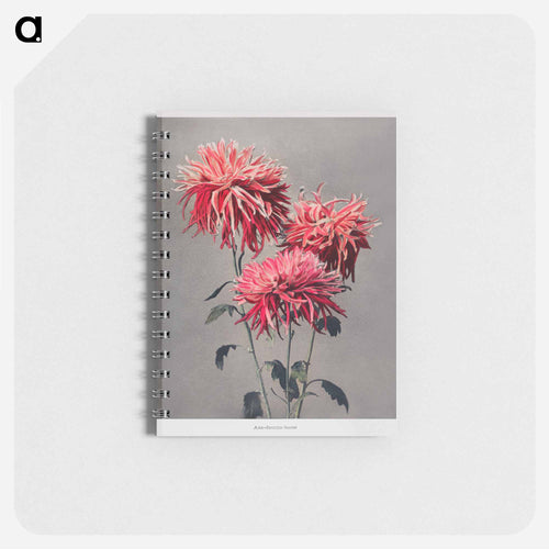 Asa–dsuma–bune - Kazumasa Ogawa Memo.