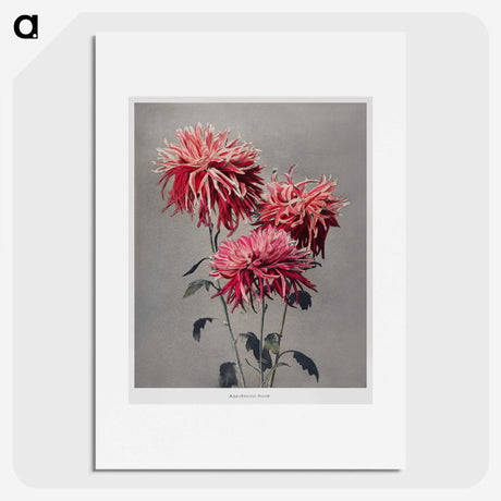 1-14_Ogawa-Kazumasa_picture