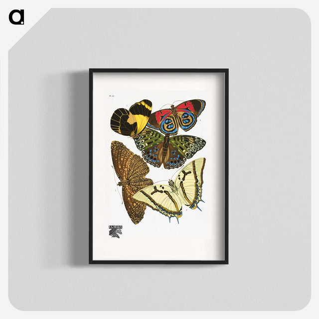 1-14_Papillons_blk