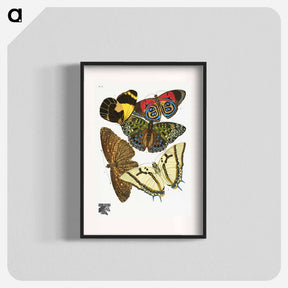 アートポスター-Vintage Butterflies
 - パピヨン Poster.