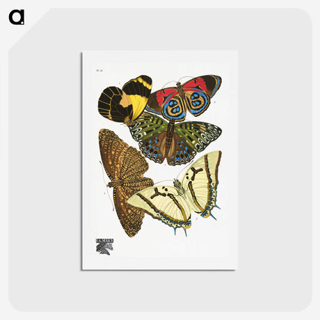 1-14_Papillons_hagaki