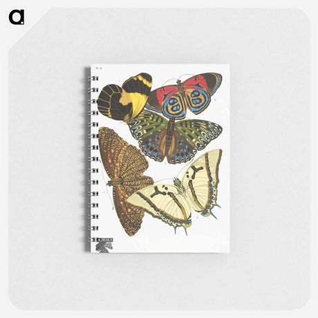 アートメモ帳-Vintage Butterflies
 - パピヨン Memo.