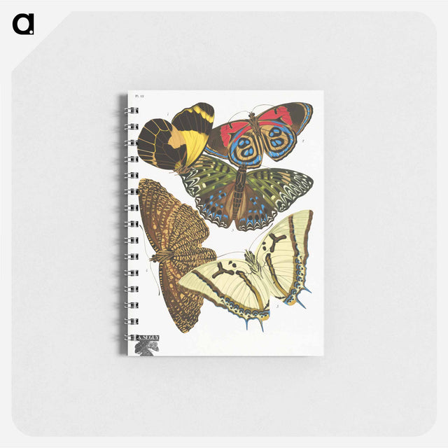 アートメモ帳-Vintage Butterflies
 - パピヨン Memo.