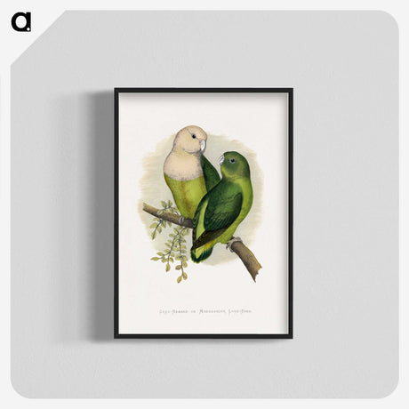 1-14_Parrots-in-Captivity_blk-crop