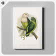 1-14_Parrots-in-Captivity_canvas