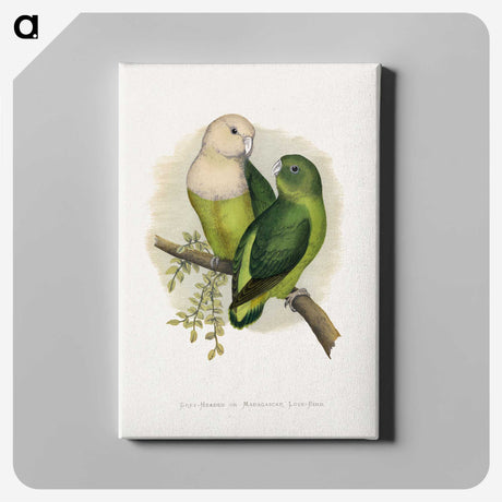 1-14_Parrots-in-Captivity_canvas