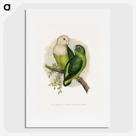 1-14_Parrots-in-Captivity_picture