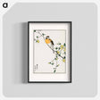アートポスター-Japanese Meadow Bunting and Golden Ball
 - 鳥類図鑑 Poster.