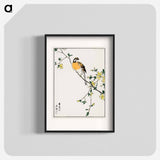 アートポスター-Japanese Meadow Bunting and Golden Ball
 - 鳥類図鑑 Poster.