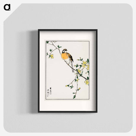 アートポスター-Japanese Meadow Bunting and Golden Ball
 - 鳥類図鑑 Poster.