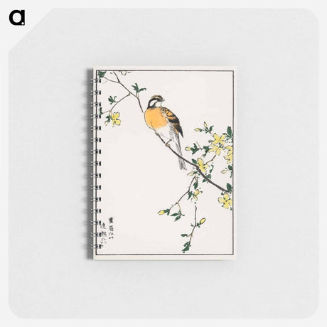 アートメモ帳-Japanese Meadow Bunting and Golden Ball
 - 鳥類図鑑 Memo.