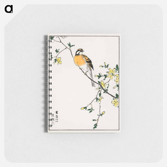 アートメモ帳-Japanese Meadow Bunting and Golden Ball
 - 鳥類図鑑 Memo.
