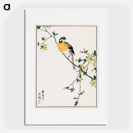 アートポスター-Japanese Meadow Bunting and Golden Ball
 - 鳥類図鑑 Poster.