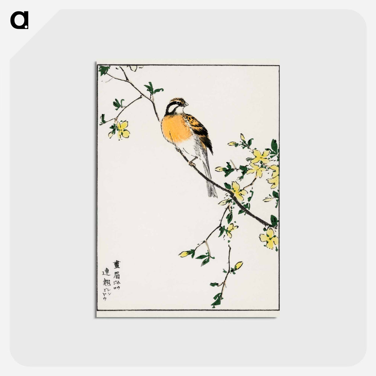 アートポストカード-Japanese Meadow Bunting and Golden Ball
 - 鳥類図鑑 Postcard.