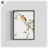 1-14_Pictorial-Monograph-of-Birds_blk-crop