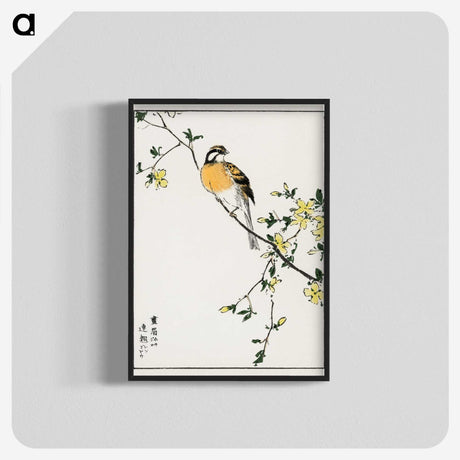 1-14_Pictorial-Monograph-of-Birds_blk-crop