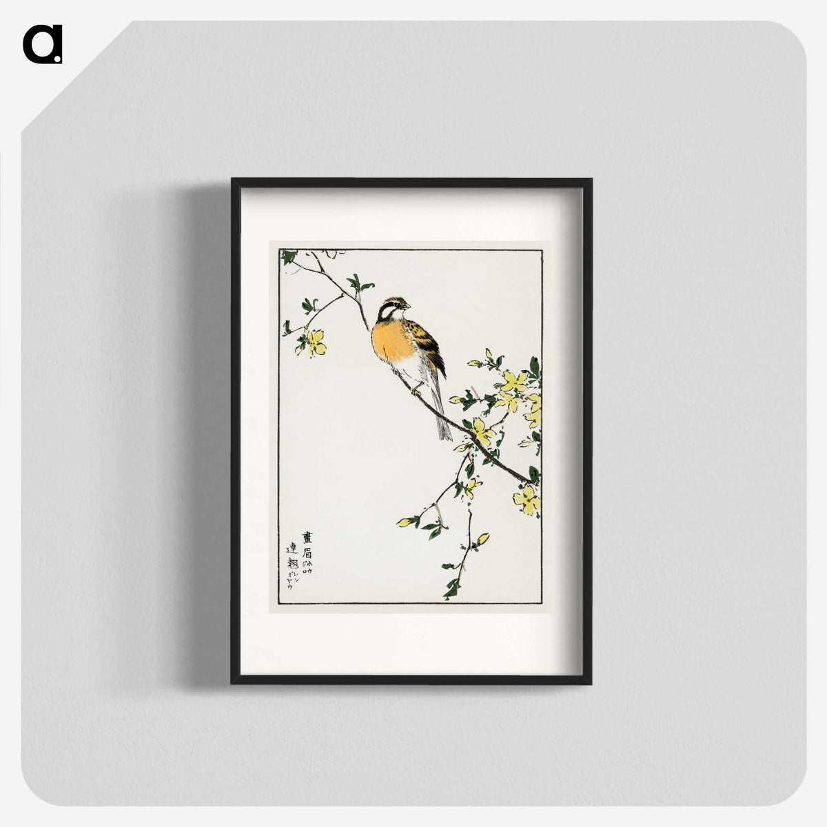1-14_Pictorial-Monograph-of-Birds_blk