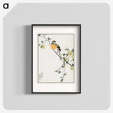 1-14_Pictorial-Monograph-of-Birds_blk