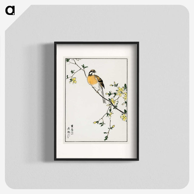 1-14_Pictorial-Monograph-of-Birds_blk