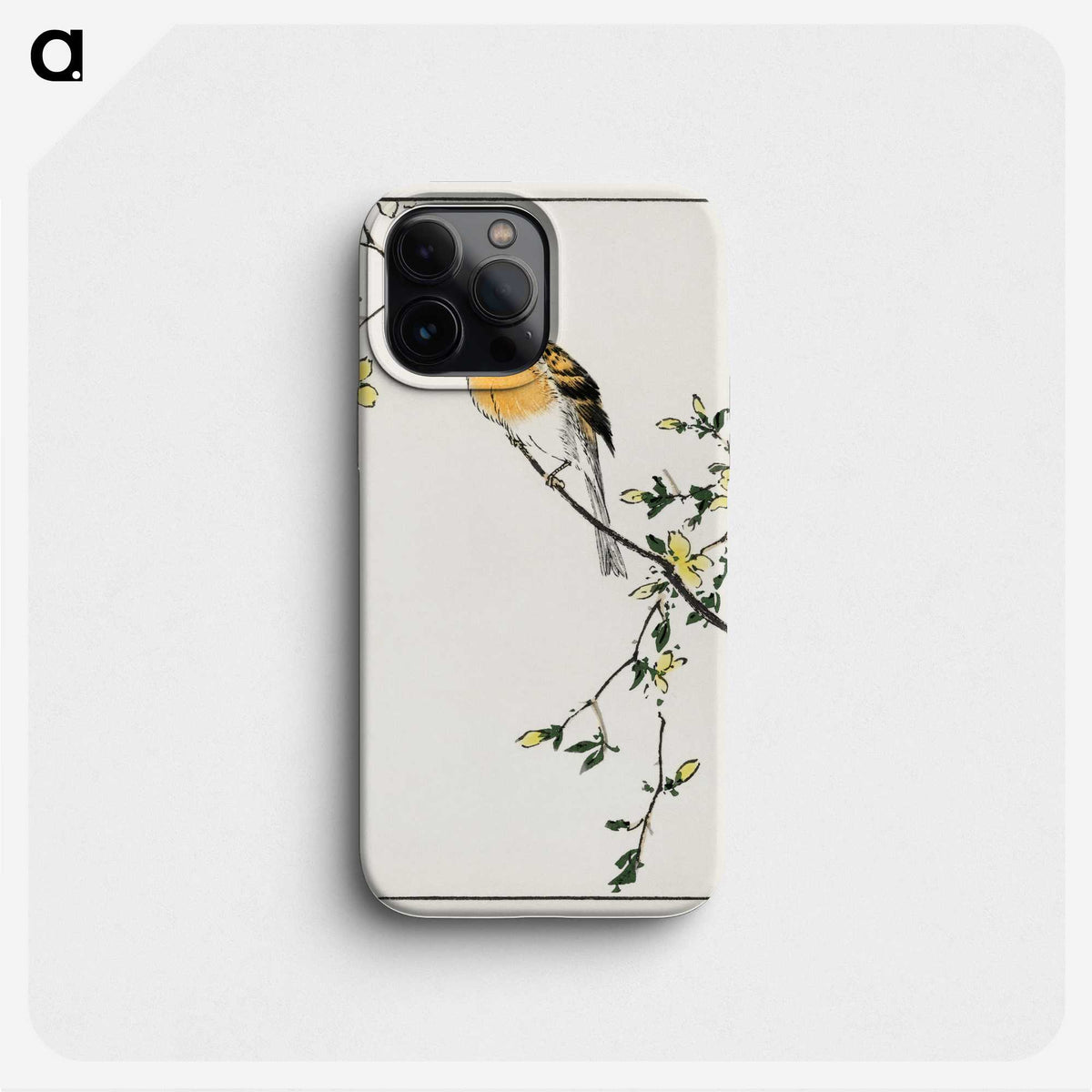 1-14_Pictorial-Monograph-of-Birds_phone