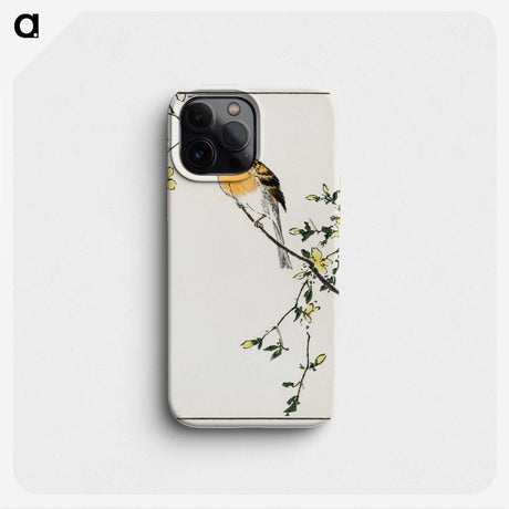 1-14_Pictorial-Monograph-of-Birds_phone