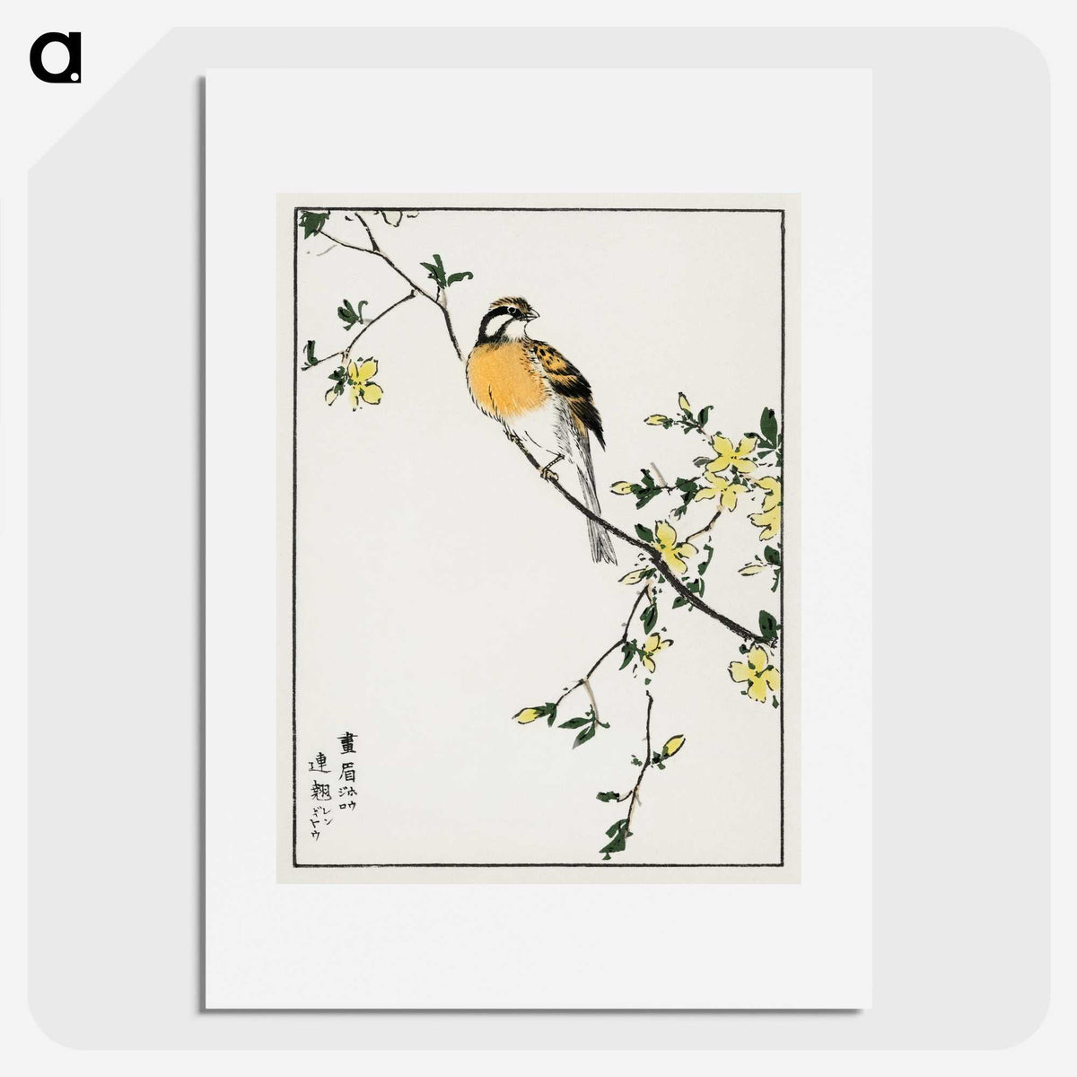 1-14_Pictorial-Monograph-of-Birds_picture