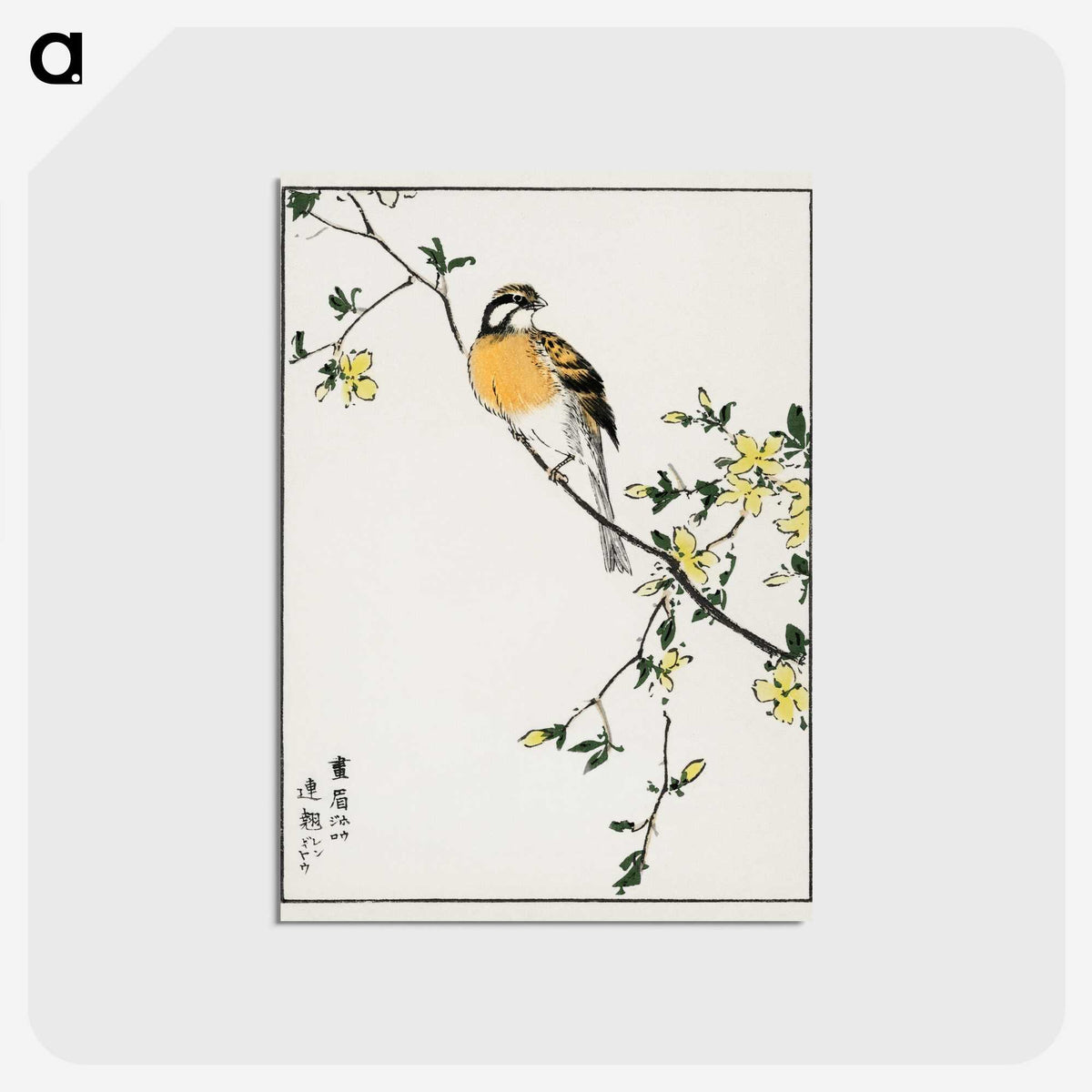 1-14_Pictorial-Monograph-of-Birds_postcard