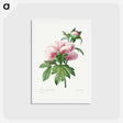 アートポストカード-Peony - ピエール ジョゼフ ルドゥーテ Postcard.