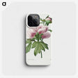 1-14_Pierre-Joseph-Redoute_phone