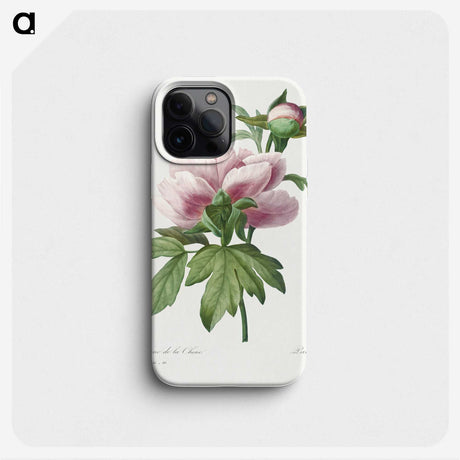 1-14_Pierre-Joseph-Redoute_phone