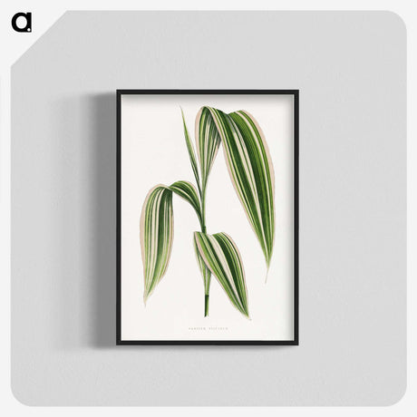 1-14_Plants-with-Colored-Foliage_blk-crop