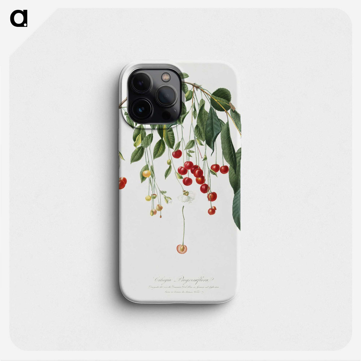 1-14_Pomona-Italiana_phone