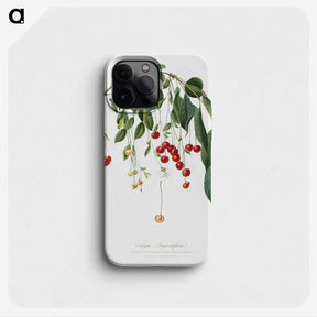 1-14_Pomona-Italiana_phone