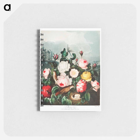 アートメモ帳-Roses from The Temple of Flora
 - ロバート ジョン ソーントン Memo.